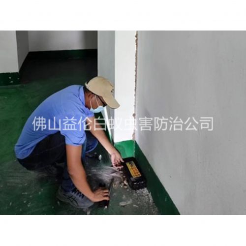 官窑电房灭杀白蚁工程